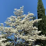 Zima Merano