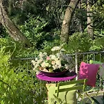 Zima Merano