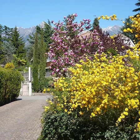 Zima 3* Merano