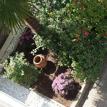 Ξενοδοχείο Zima 3*