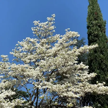 Zima Μεράνο