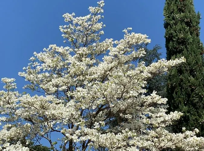 济马酒店 梅拉诺