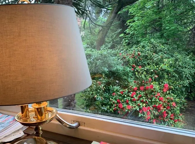 Zima 3* ميرانو