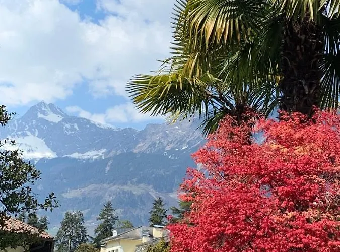 济马酒店 酒店 3*